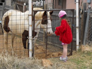 Девочка кормит лошадь